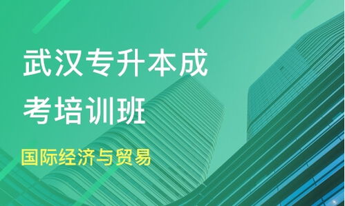 武漢成考專升本國(guó)際貿(mào)易與經(jīng)濟(jì)專業(yè)選擇指南 領(lǐng)航時(shí)代與淘學(xué)培訓(xùn)深度解析